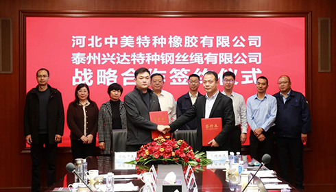 河北衡水市政企代表團蒞臨興達考察，興達&中美達成戰(zhàn)略合作！